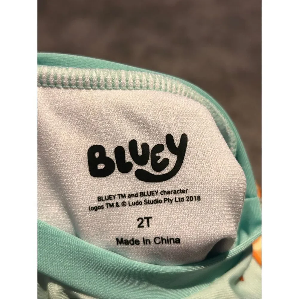 Bluey 2 piece bathing suit size 2T